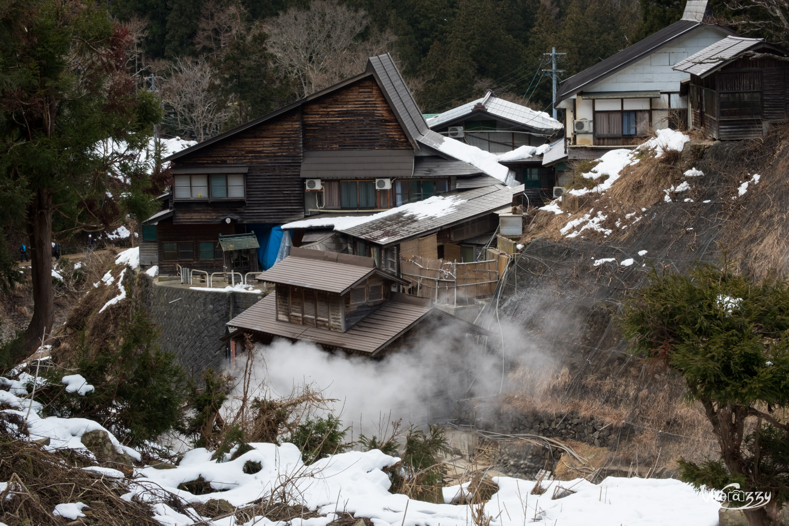 Japon, Jigokudani, Voyage